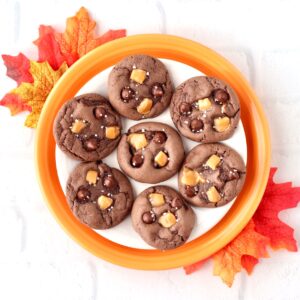 Seven salted caramel chocolate cookies on plate with leaves to the side.