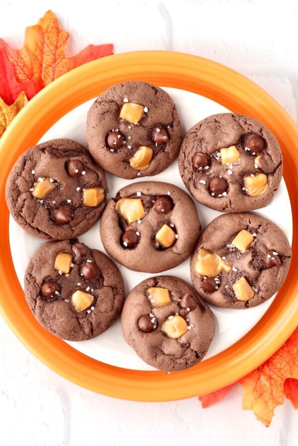 Seven salted caramel chocolate cookies on plate with leaves to the side.
