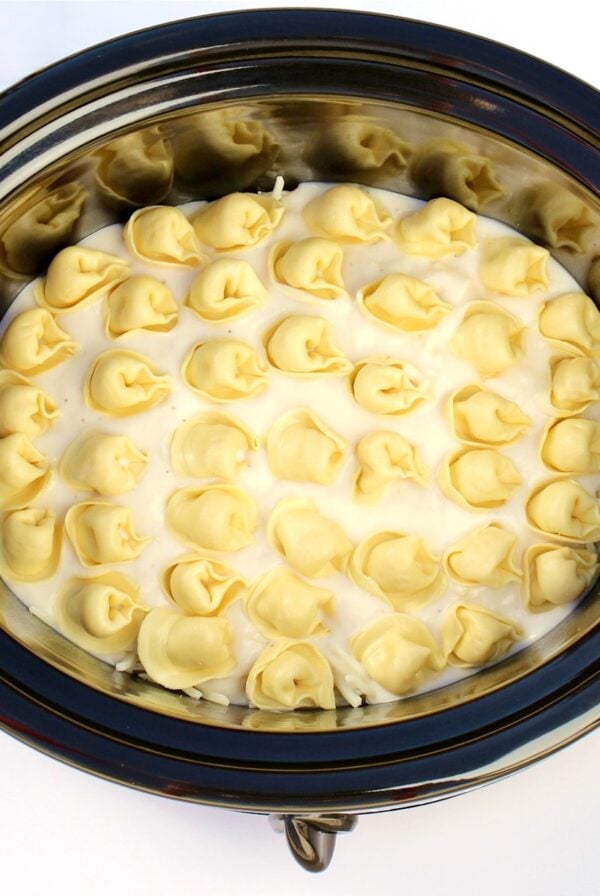 Cheese tortellini with alfredo sauce and mozzarella cheese in crockpot.