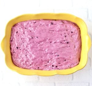 Blueberry Angel Food Cake Batter in 9x13 dish.