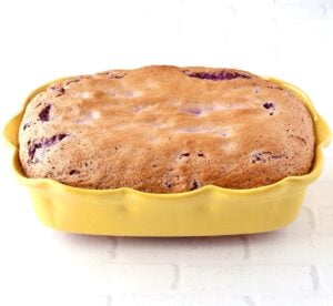 Baked blueberry angel food cake in 9x13 baking dish.