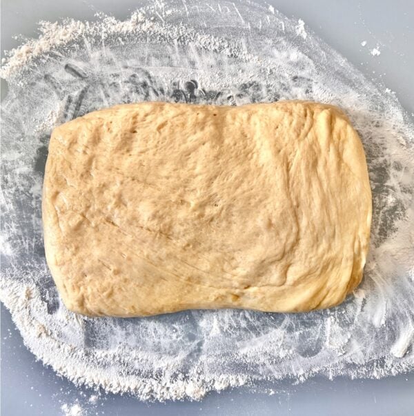 Dough on floured work surface.