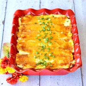 Sour cream chicken enchiladas topped with cheese and green onions in 9x13 baking dish.