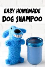 Homemade dog shampoo with dog toy to the side.
