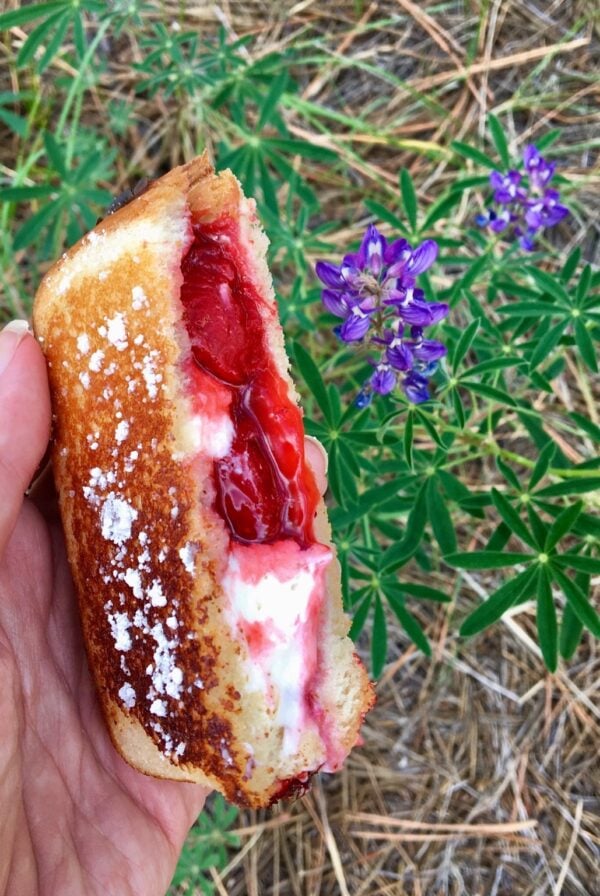 Strawberry pudgy pie with powdered sugar held by hand.