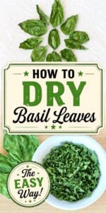 Dried basil leaves in small dish.