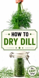 Dried dill in small seasoning jar.