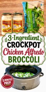 Chicken alfredo broccoli in crockpot.