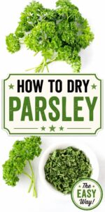 Dried Parsley Leaves in small bowl with fresh parsley herbs to the side.