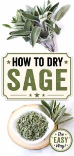 Dried sage leaves in small bowl with fresh sage herbs to the side.