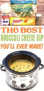 Broccoli cheese dip in crockpot.